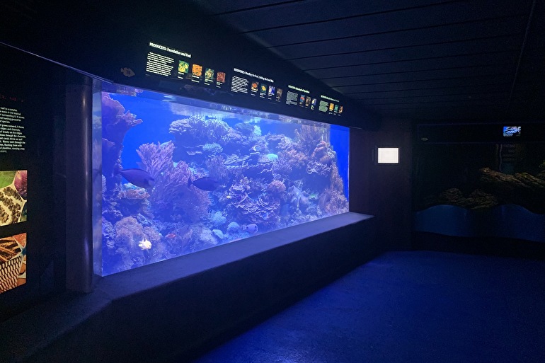 3:海底風景の再現