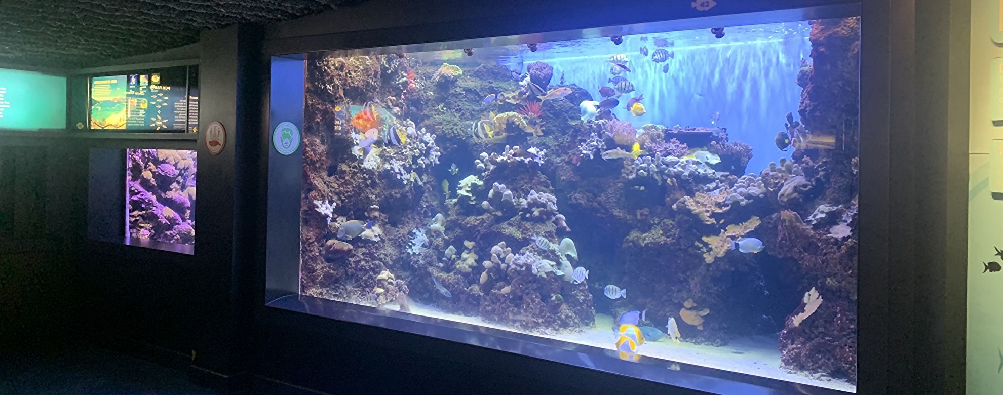 ワイキキ水族館の行き方は?入場料や人気のお土産もご紹介